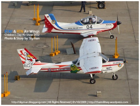 T-41D hold a 40th anniversary special painting.